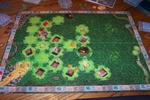 Tikal board 2